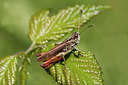 BUITEN BEELD Foto: 283815