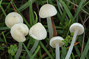 BUITEN BEELD Foto: 283820