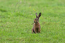 BUITEN BEELD Foto: 283825