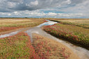 BUITEN BEELD Foto: 283865