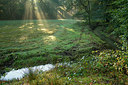 BUITEN BEELD Foto: 283871