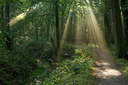 BUITEN BEELD Foto: 283872