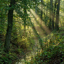 BUITEN BEELD Foto: 283873