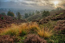 BUITEN BEELD Foto: 283875
