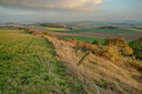 BUITEN BEELD Foto: 283878
