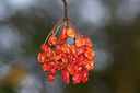 BUITEN BEELD Foto: 283880