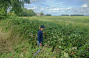 BUITEN BEELD Foto: 283890
