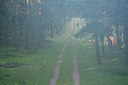 BUITEN BEELD Foto: 283906