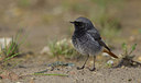 BUITEN BEELD Foto: 283927