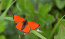 BUITEN BEELD Foto: 283933