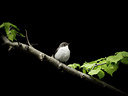 BUITEN BEELD Foto: 283940