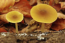 BUITEN BEELD Foto: 283967