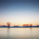 BUITEN BEELD Foto: 283970