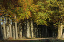 BUITEN BEELD Foto: 283980