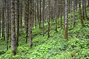 BUITEN BEELD Foto: 283992