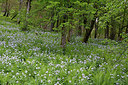 BUITEN BEELD Foto: 284000