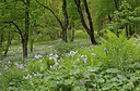 BUITEN BEELD Foto: 284003