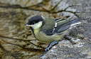 BUITEN BEELD Foto: 284007