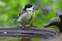 BUITEN BEELD Foto: 284009