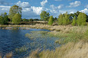 BUITEN BEELD Foto: 284019