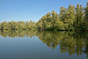 BUITEN BEELD Foto: 284027