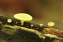 BUITEN BEELD Foto: 284038