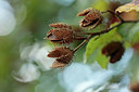 BUITEN BEELD Foto: 284079