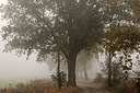 BUITEN BEELD Foto: 284089