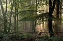 BUITEN BEELD Foto: 284097