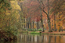 BUITEN BEELD Foto: 284109