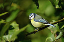 BUITEN BEELD Foto: 284186
