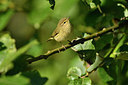 BUITEN BEELD Foto: 284200