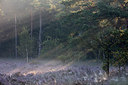 BUITEN BEELD Foto: 284207