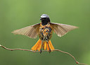 BUITEN BEELD Foto: 284215