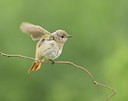 BUITEN BEELD Foto: 284216