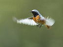 BUITEN BEELD Foto: 284217