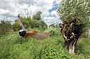 BUITEN BEELD Foto: 284233
