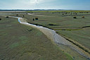 BUITEN BEELD Foto: 284241