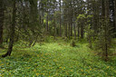 BUITEN BEELD Foto: 284254