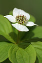 BUITEN BEELD Foto: 284259