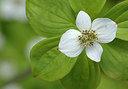 BUITEN BEELD Foto: 284260