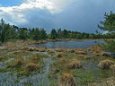 BUITEN BEELD Foto: 284282