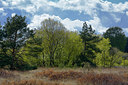 BUITEN BEELD Foto: 284286