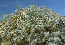 BUITEN BEELD Foto: 284289