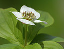 BUITEN BEELD Foto: 284291