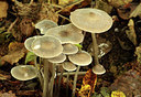 BUITEN BEELD Foto: 284373