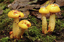 BUITEN BEELD Foto: 284401