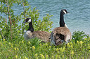 BUITEN BEELD Foto: 284432