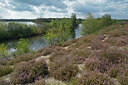 BUITEN BEELD Foto: 284437
