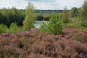 BUITEN BEELD Foto: 284441